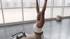 montage of pilates equipment in use
