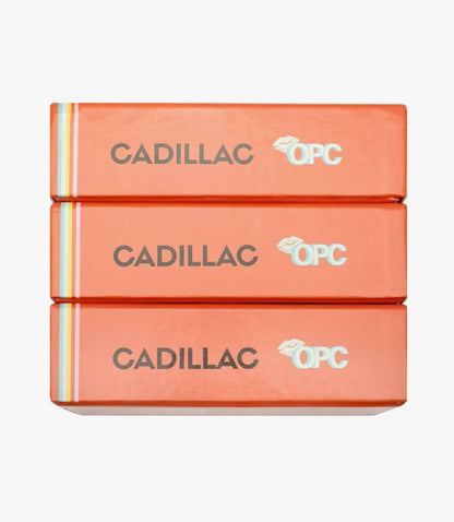 Pilates Cadillac Flashcards by Lesley Logan